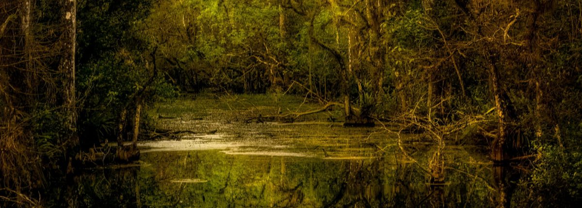 Blackwater
