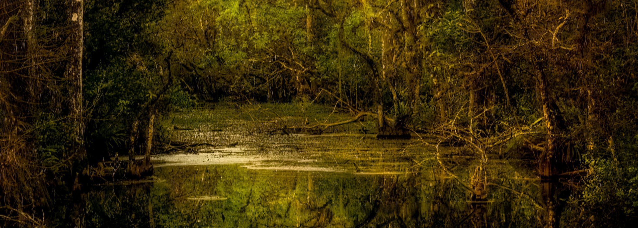 Blackwater